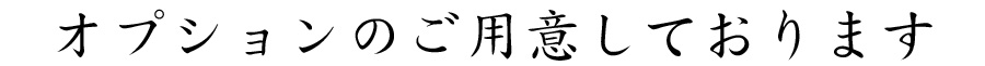 オプションのご用意しております